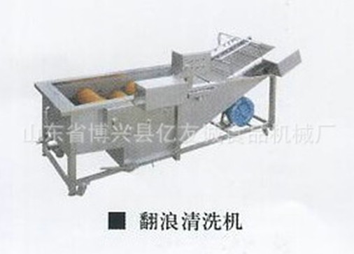 果蔬菜清洗機翻浪清洗機.jpg