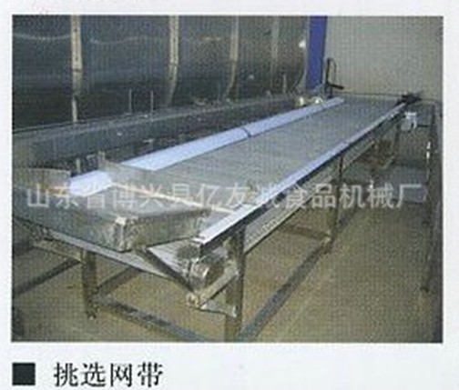 不銹鋼挑選網(wǎng)帶