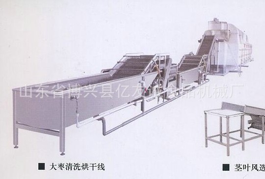 大棗清洗烘干線 大棗清洗烘干線