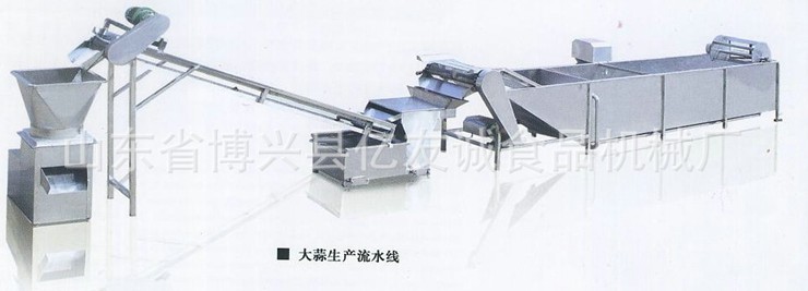 大蒜生產(chǎn)流水線