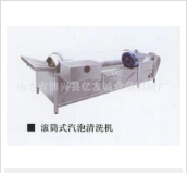 氣泡清洗機(jī)與蔬菜清洗機(jī)的“一較高下”！